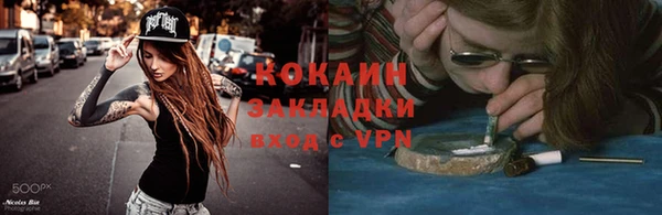 PSILOCYBIN Аркадак
