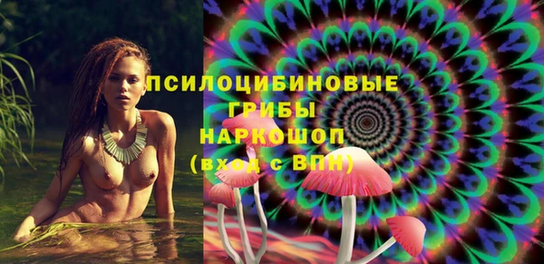PSILOCYBIN Аркадак